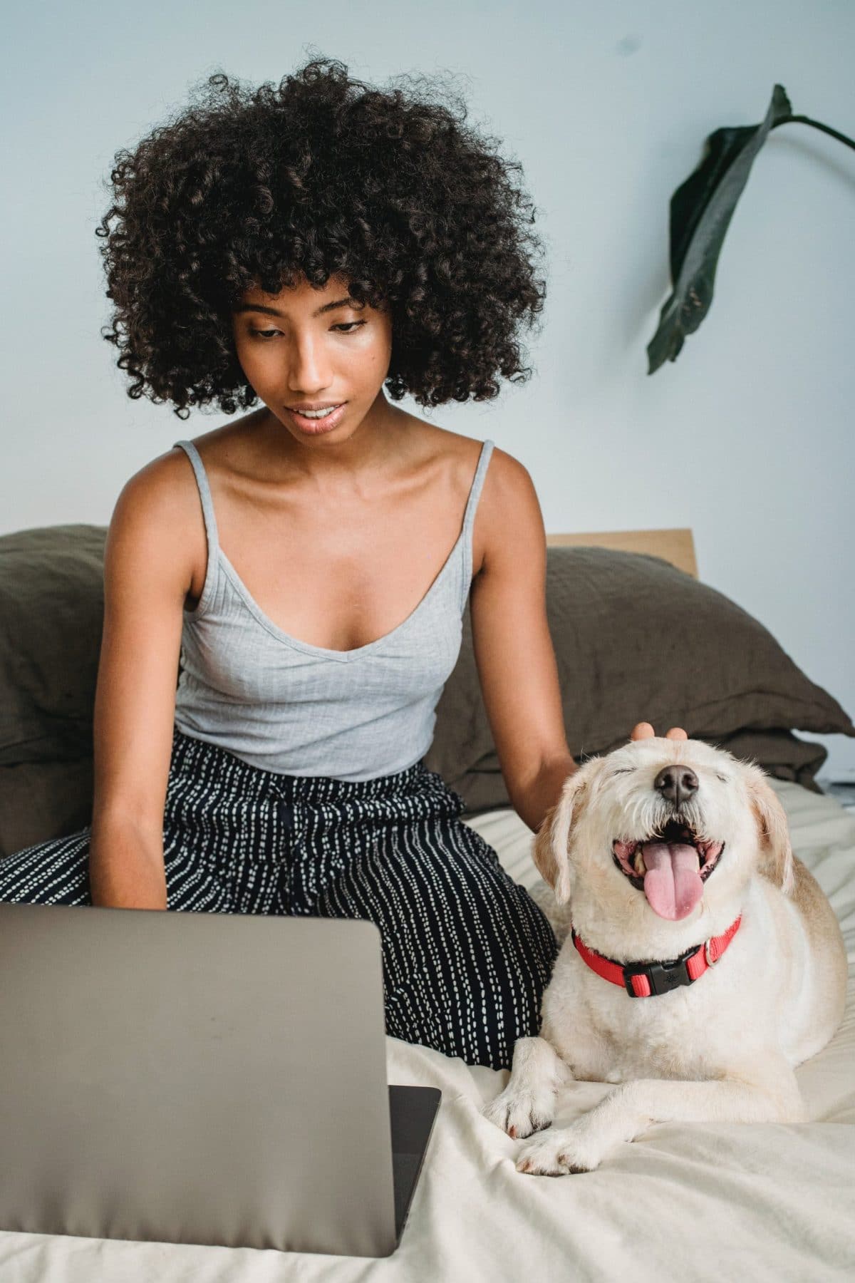 A young African American woman with curly hair attends a trauma therapy session on her laptop from bed. A small dog with a very happy expression sits next to her.