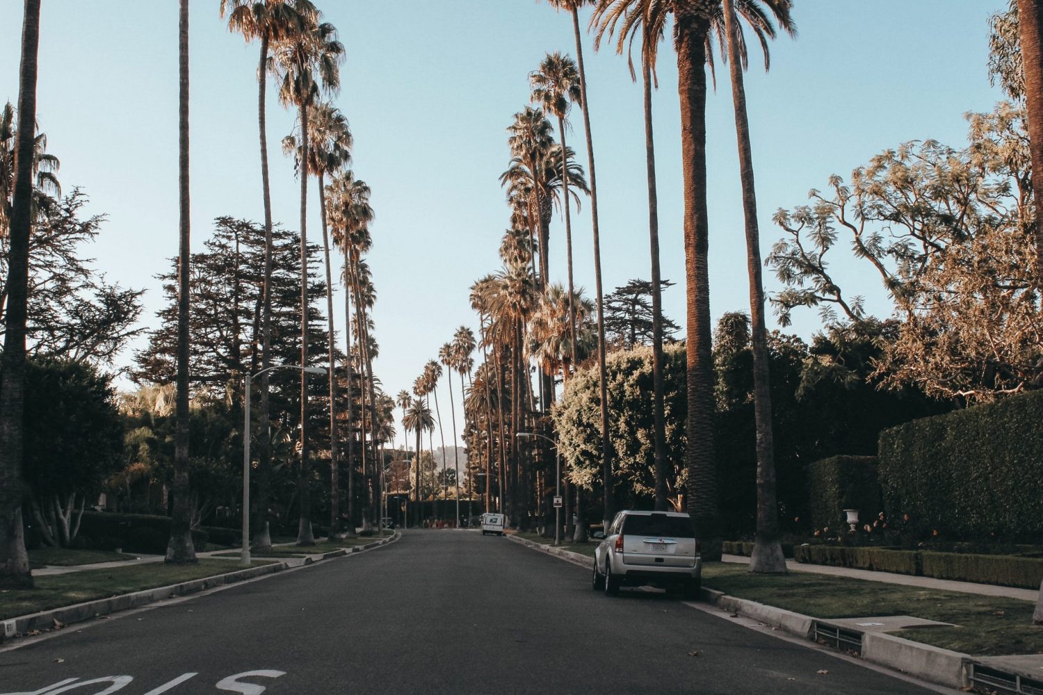 Photo of a palm tree lined Los Angeles Street.