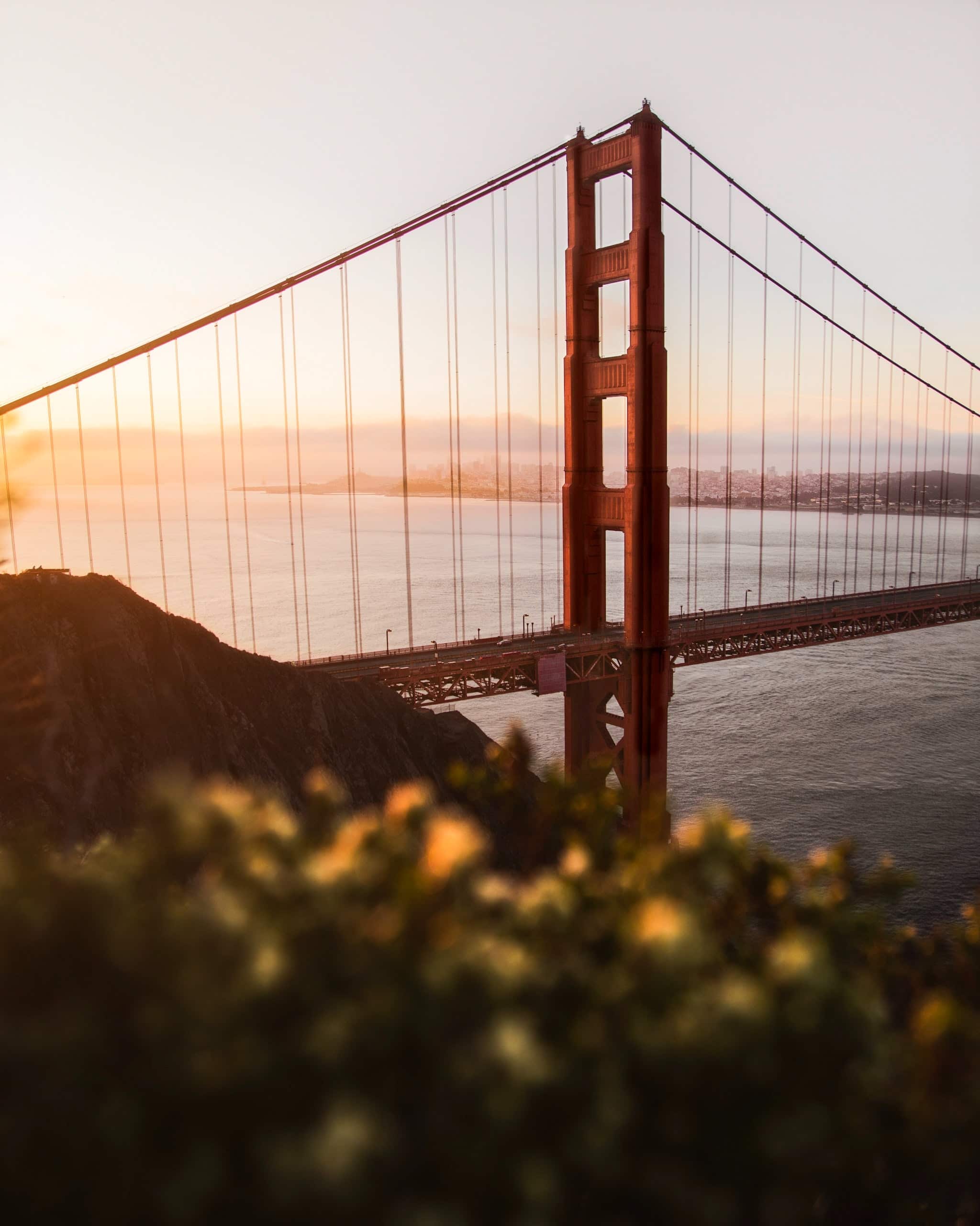 Photo of the Golden Gate Bridge in San Francisco, taken from a grassy hilltop at sunset